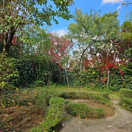 Golden Flower Отель Тирана