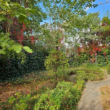 Отель Golden Flower 3*